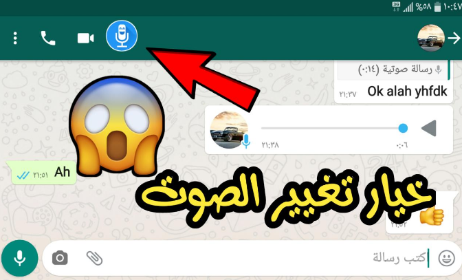 GB WhatsApp Pro Mise À Jour
